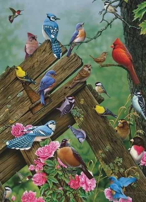 Birds of the Forest Puzzel -1000 stukjes