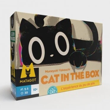 cat in the box