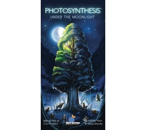 Photoynthesis under the moonlight