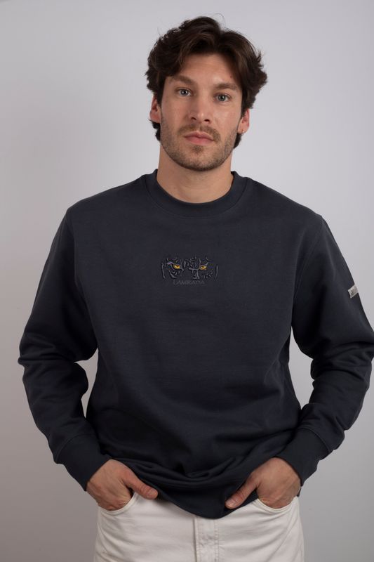 Sudadera Hidden Panther