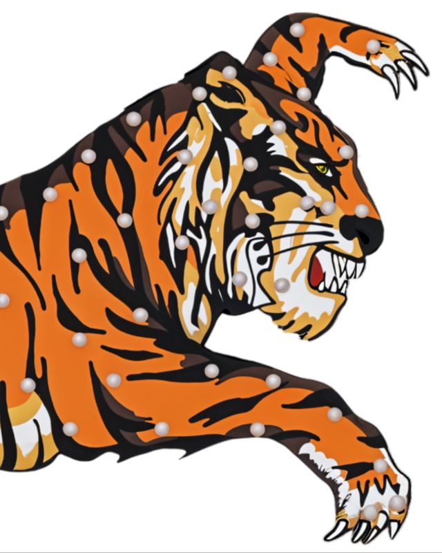 Camiseta On Stage 1974