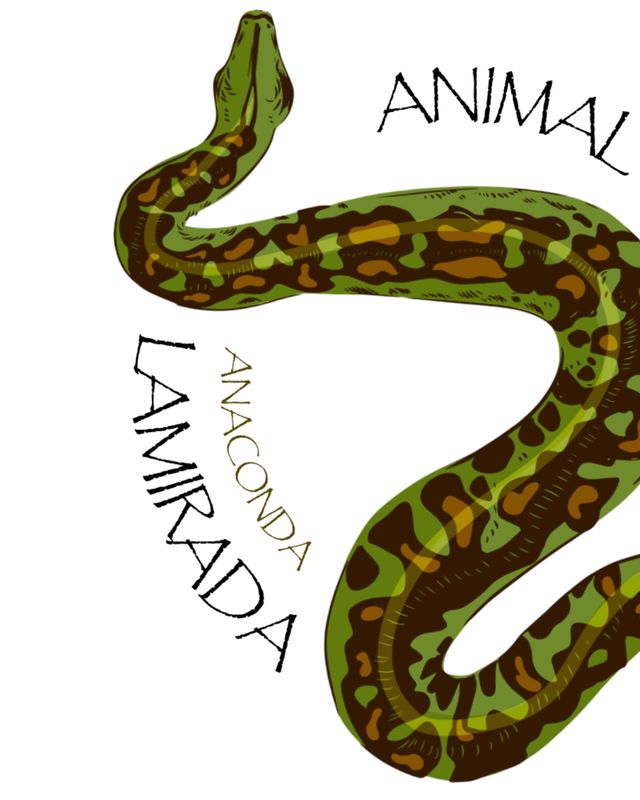 Camiseta Anaconda Blanco