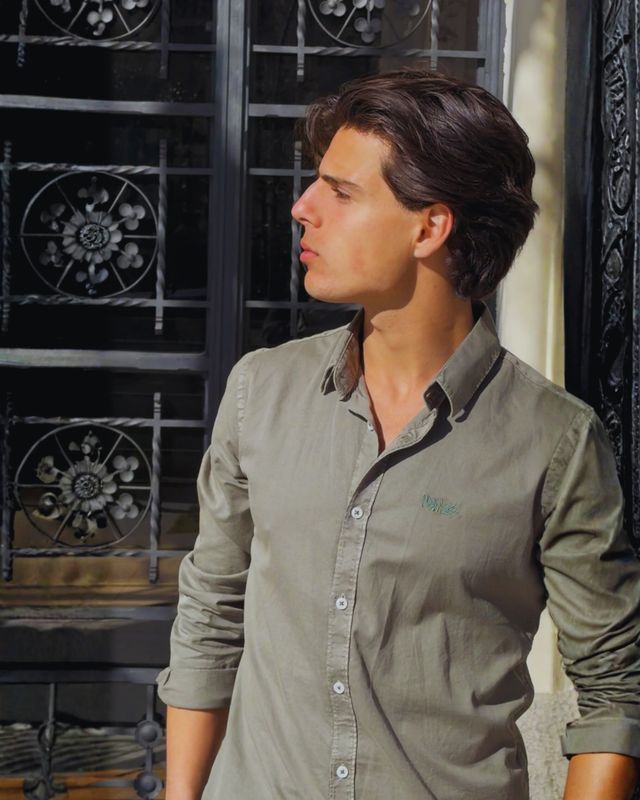 Camisa Balaeniceps Rex