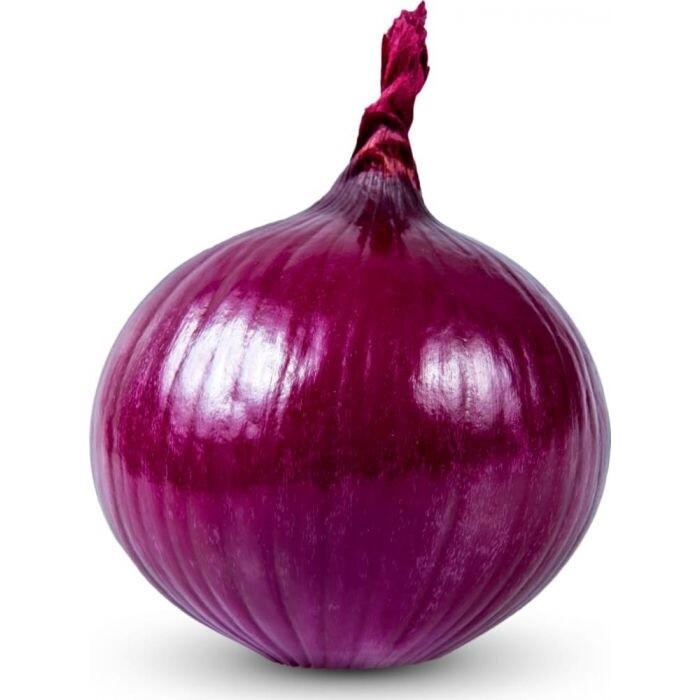 Red Onion 9kg