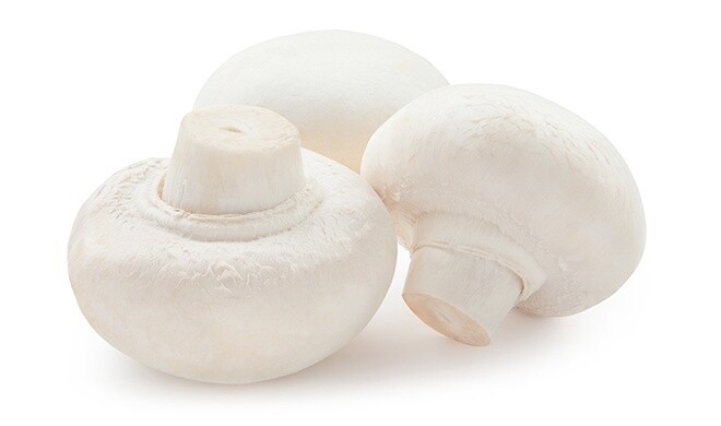 Mushroom