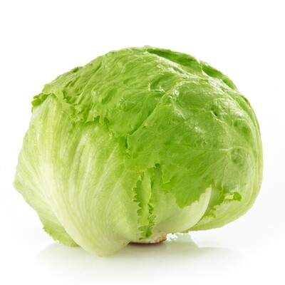 Iceberg Lettuce Box
