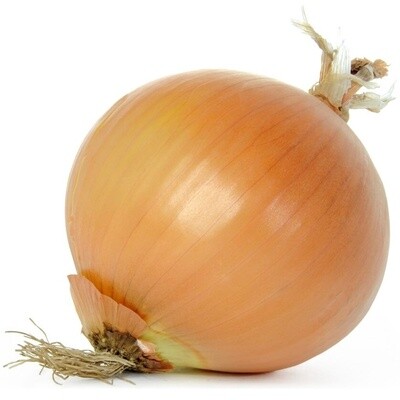 Spanish Onion 25kg