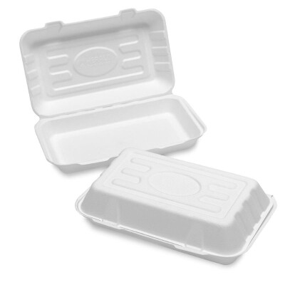 HB10 Bagasse Box White Full Case 5x50pcs