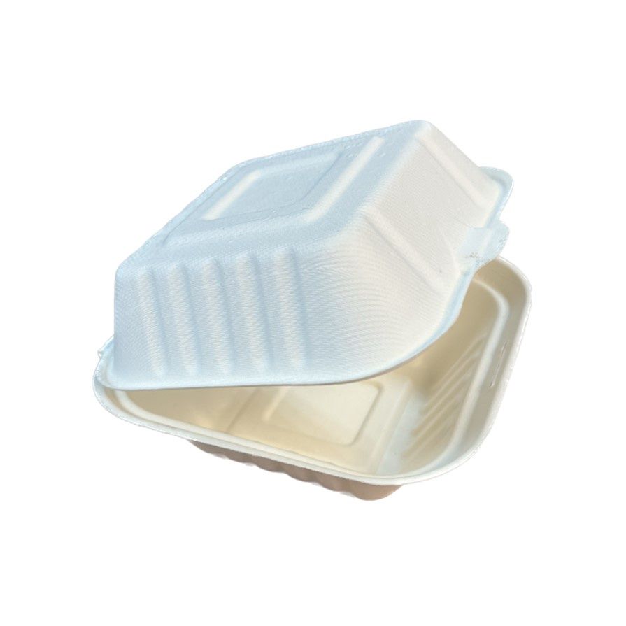 HB6 Bagasse Burger Box 5x50pcs