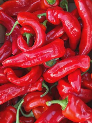 Red Long Peppers 5kg