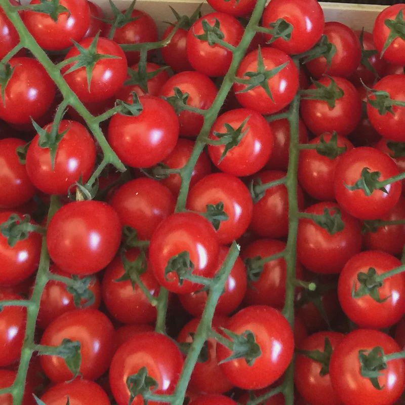 Cherry Vine Tomatoes 4kg