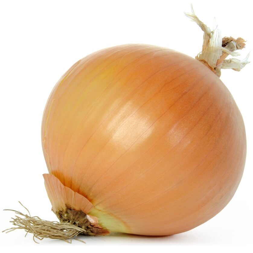 Spanish Onion 20kg