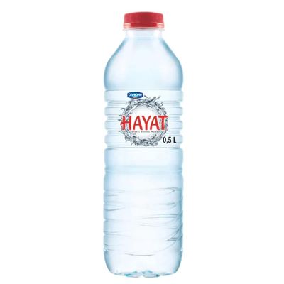 Hayat Water 24x500ml