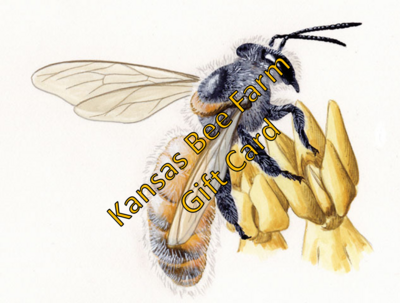 Kansas Bee Farm Gift Cards