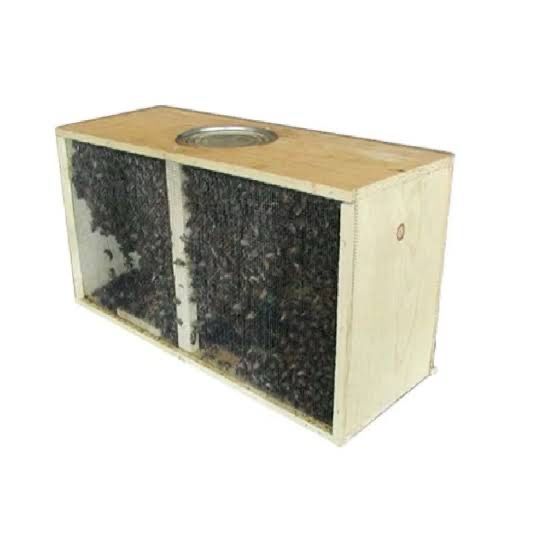 2026 3‑Pound Package with Mated Carniolan Queen Bee