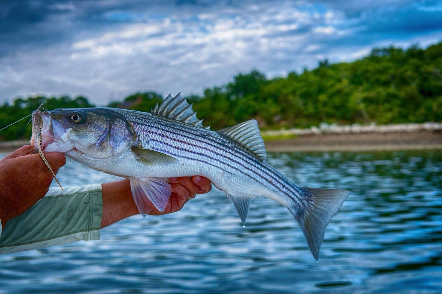 Saltwater Package