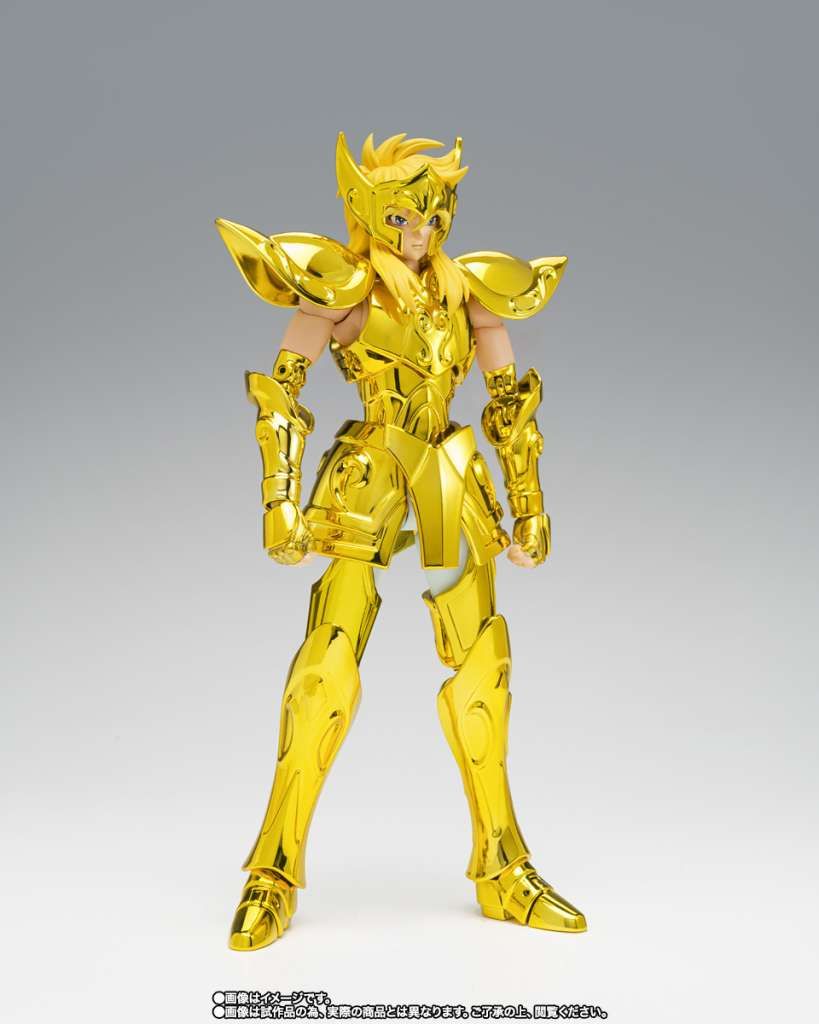 Saint Seiya Myth Cloth Ex Aquarius Hyoga inheritor of the gold cloth