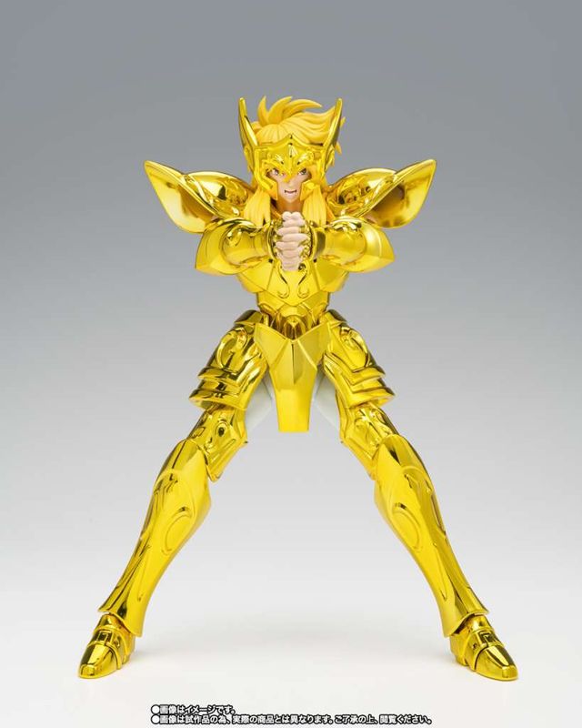 Saint Seiya Myth Cloth Ex Aquarius Hyoga inheritor of the gold cloth