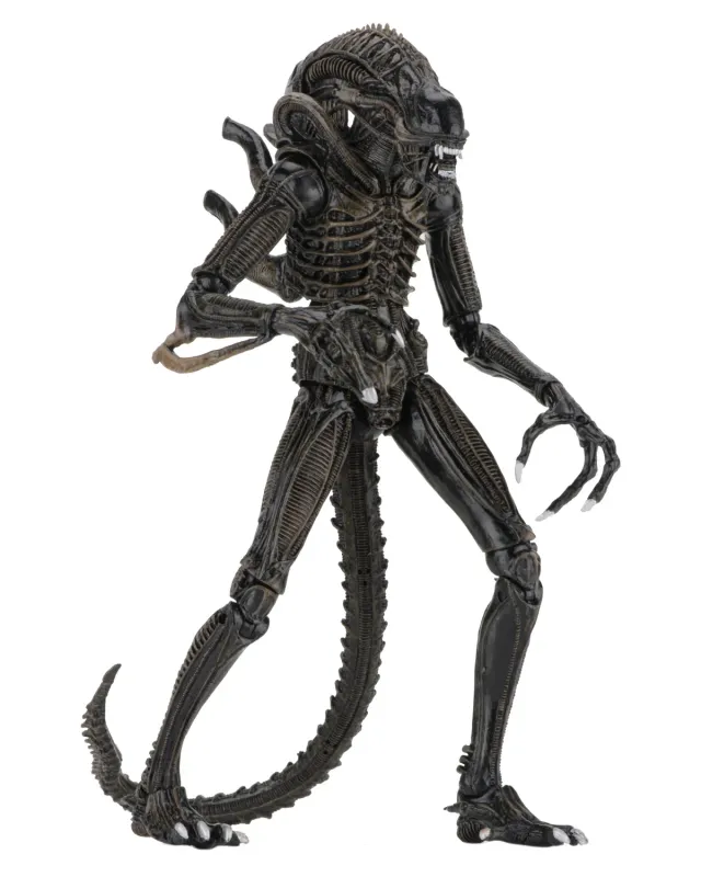 Aliens Alien Warrior Brown 1986 Ultimate NECA