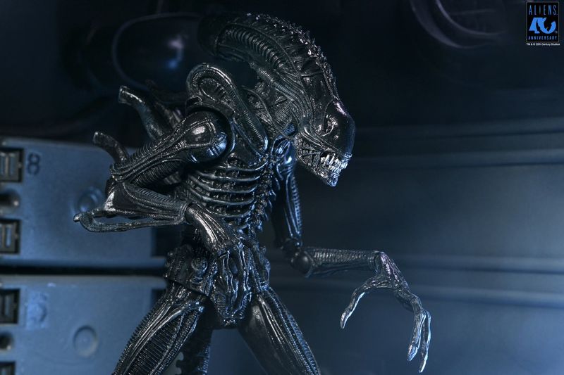 Aliens 40th Anniversary Warrior Xenomorph Black Ultimate NECA