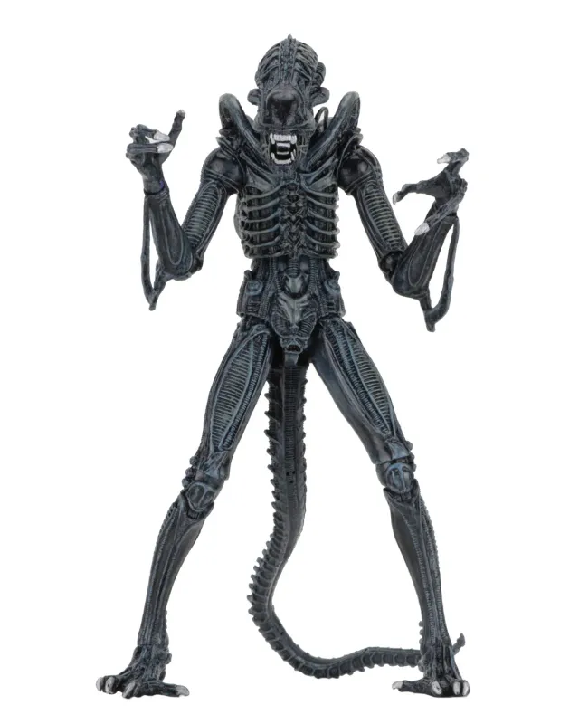 Aliens Alien Warrior Blue 1986 Ultimate NECA
