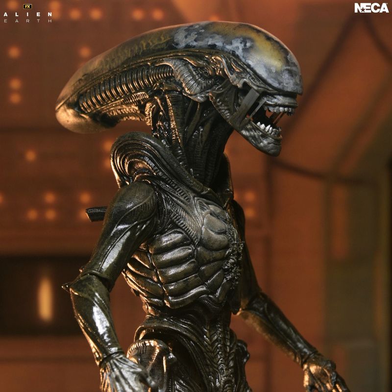 Alien Earth Wendy Xenomorph Ultimate Action Figure Alien Earth Wendy Xenomorph Ultimate Action Figure