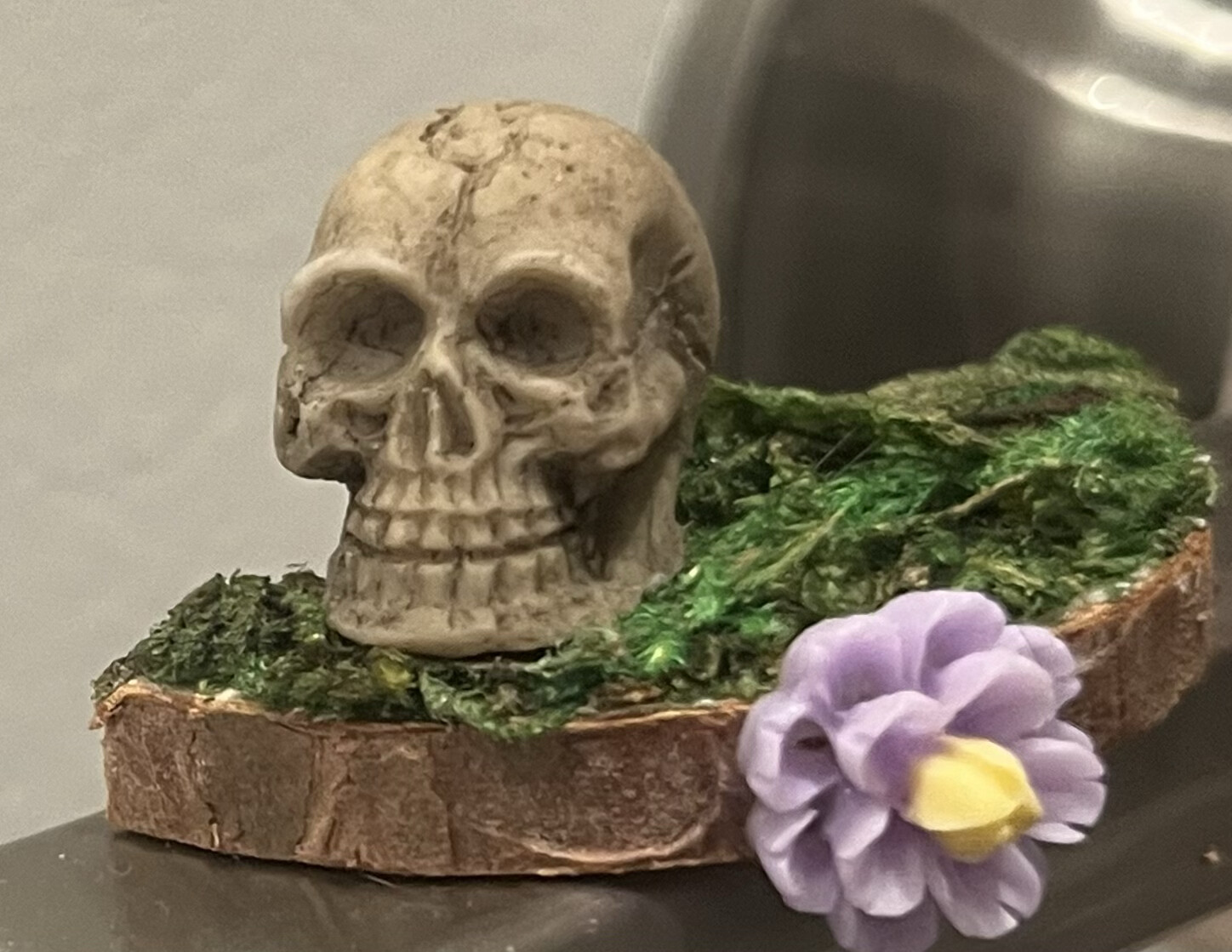 Set Of 2 Skull&amp;Flower Ledges