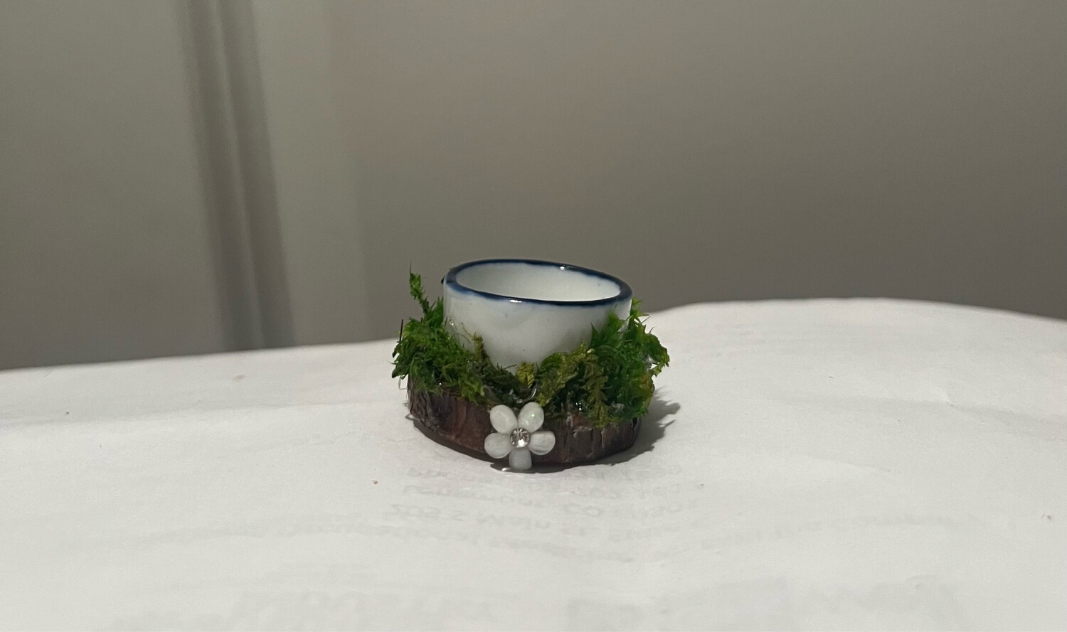 Flower Feeding Dish Ledge