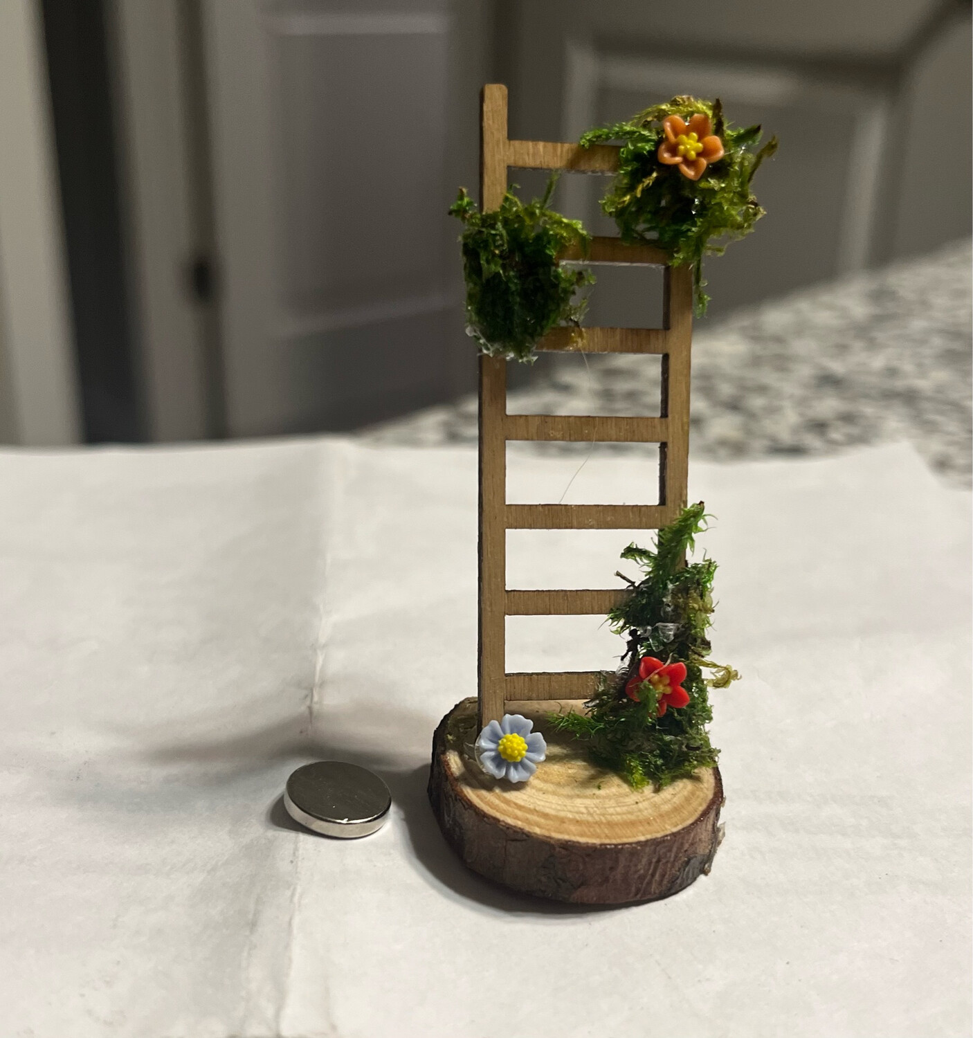 Flower Ladder Climbing Ledge