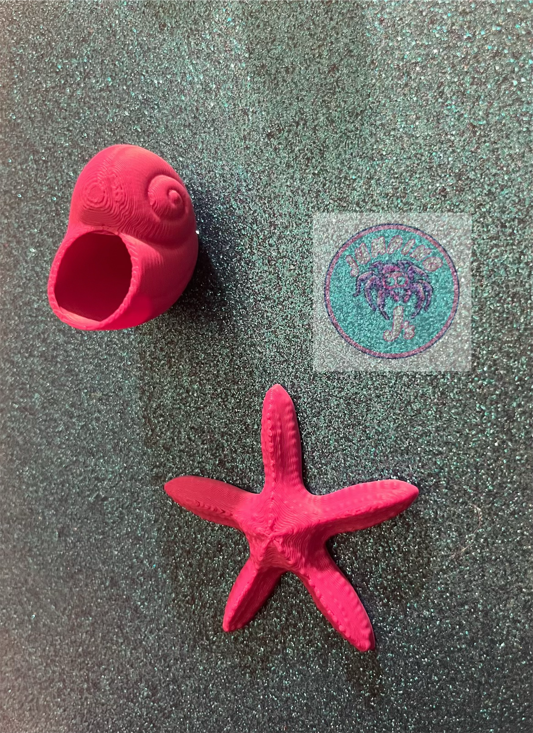 Seashell Hide &amp; Starfish Ledge