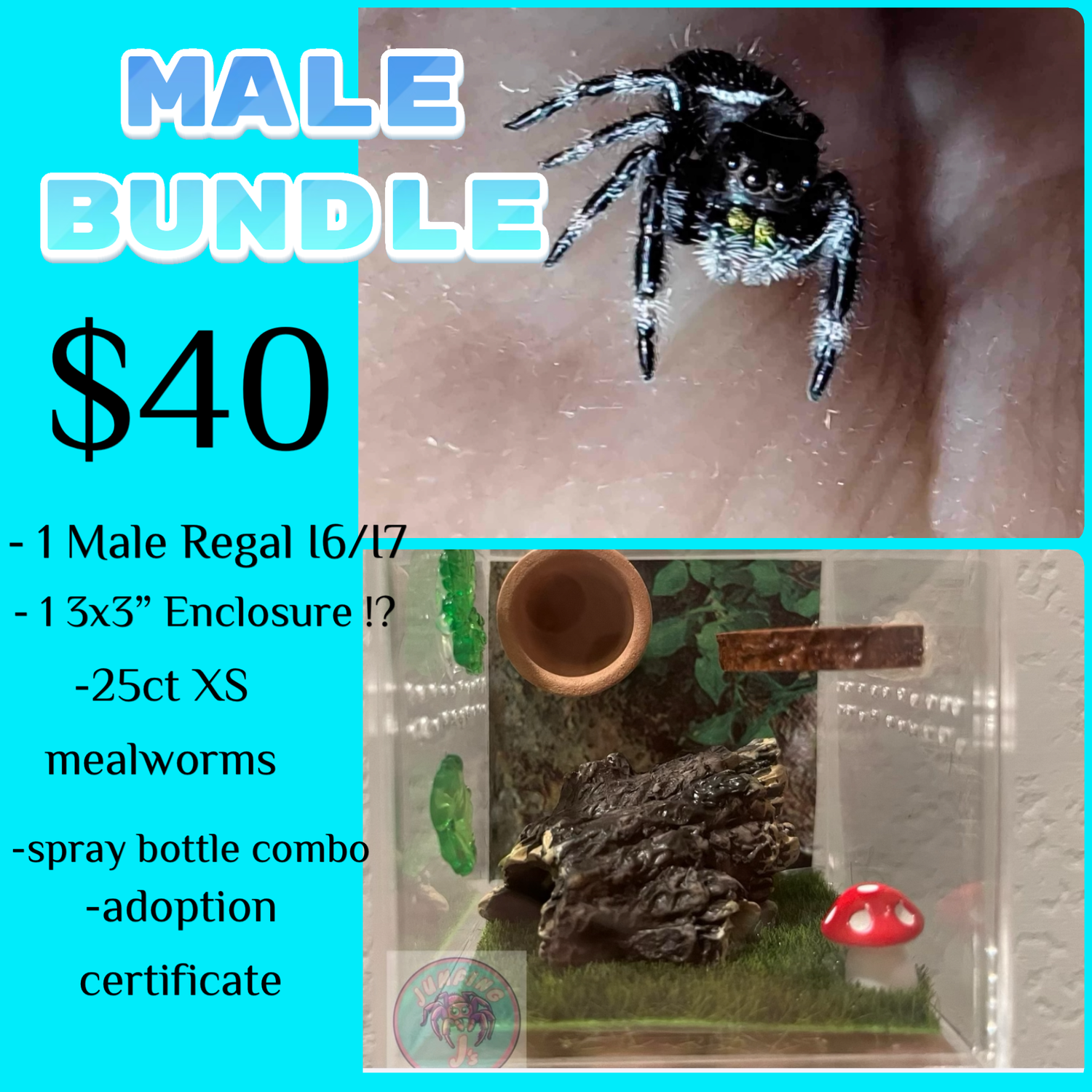 Male Bundle