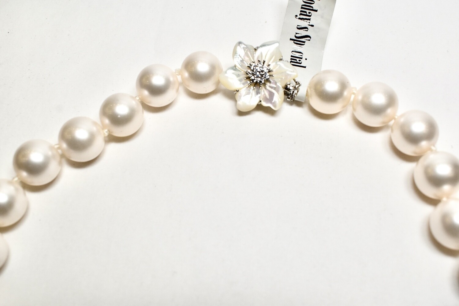 South Sea Mother of Pearls
