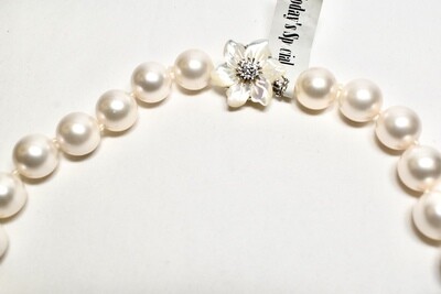 South Sea Mother of Pearls