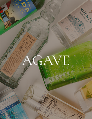 Agave
