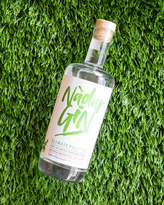 Arbikie Nadar Gin · 750 ml