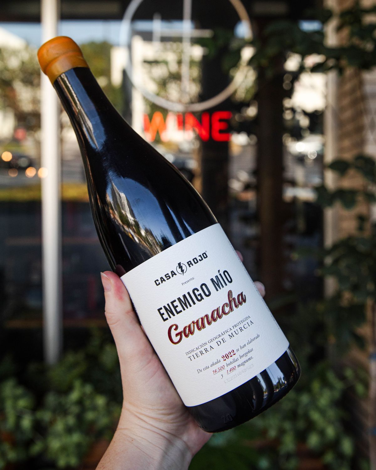 Casa Rojo Enemigo Mio Garnacha 750 ml