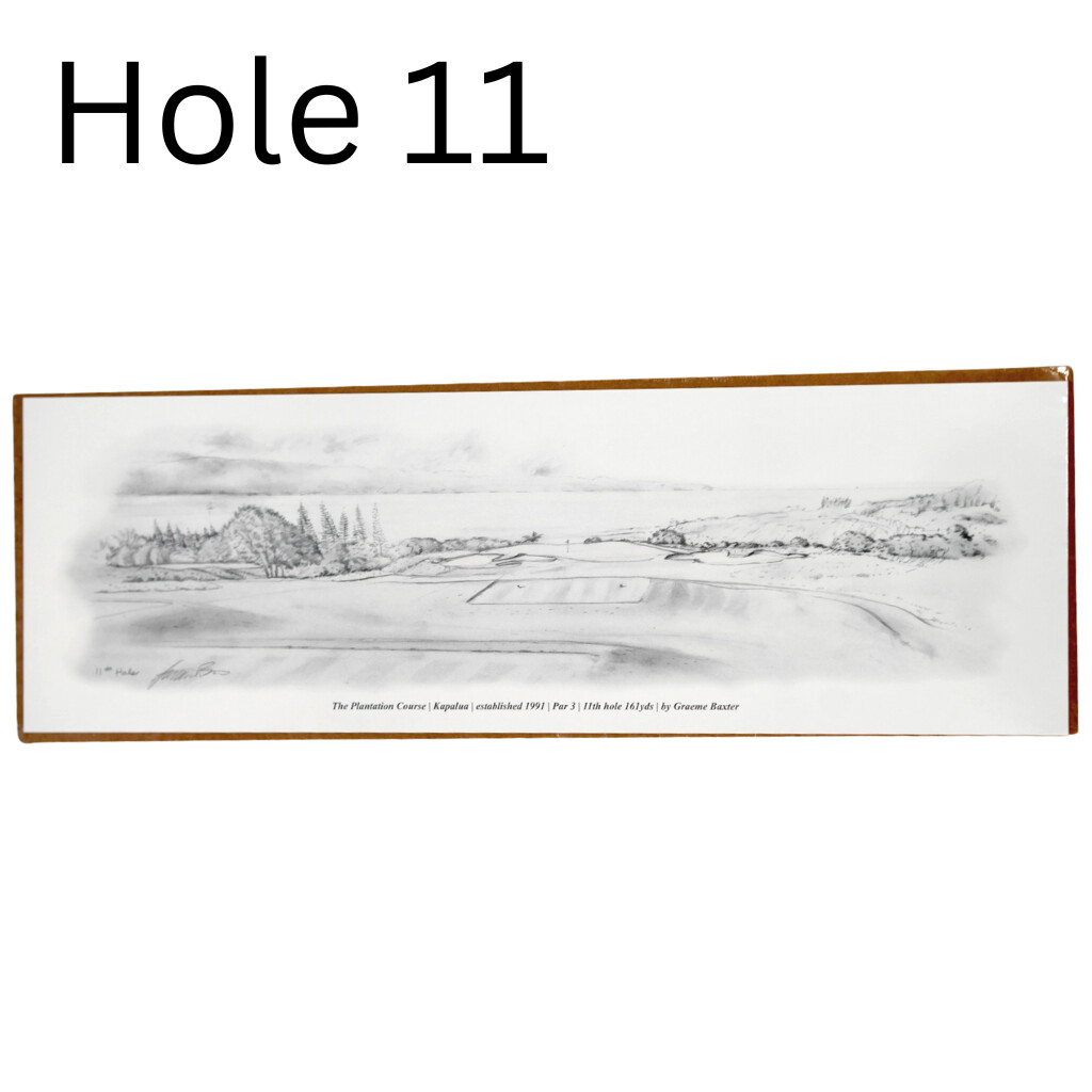 30TH ANNIVERSARY PENCIL DRAWING