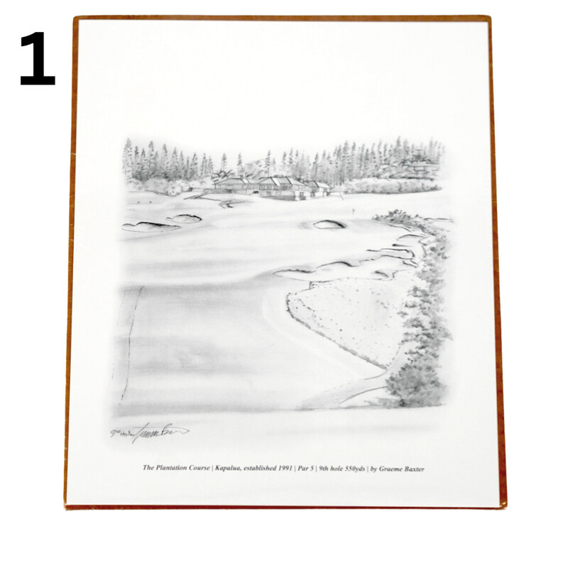 30th ANNIVERSARY PENCIL DRAWING COLLECTION