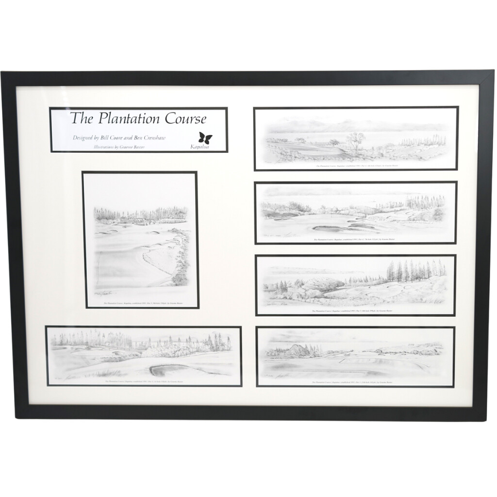 30th ANNIVERSARY PENCIL DRAWING COLLECTION (FRAMED)