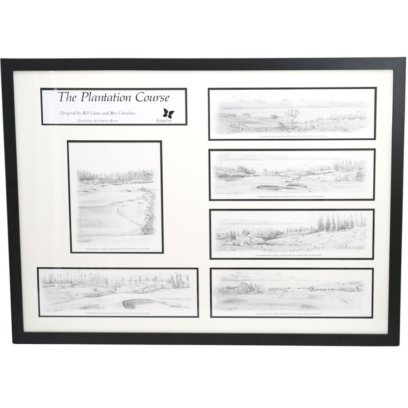 30th ANNIVERSARY PENCIL DRAWING COLLECTION (FRAMED)