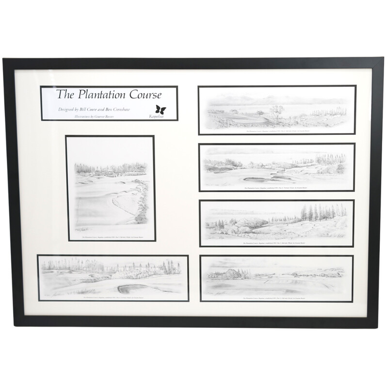 30th ANNIVERSARY PENCIL DRAWING (FRAMED)