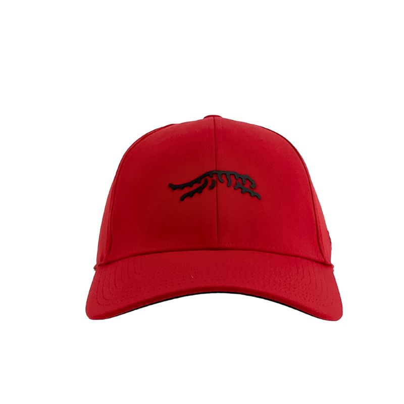 SUN DAY RED CYPRESS TOUR SNAPBACK