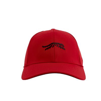 SUN DAY RED CYPRESS TOUR SNAPBACK