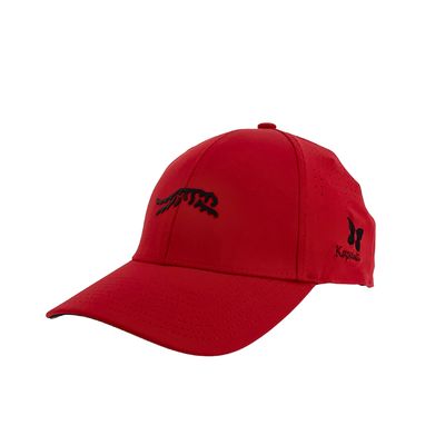 SUN DAY RED CYPRESS TOUR SNAPBACK
