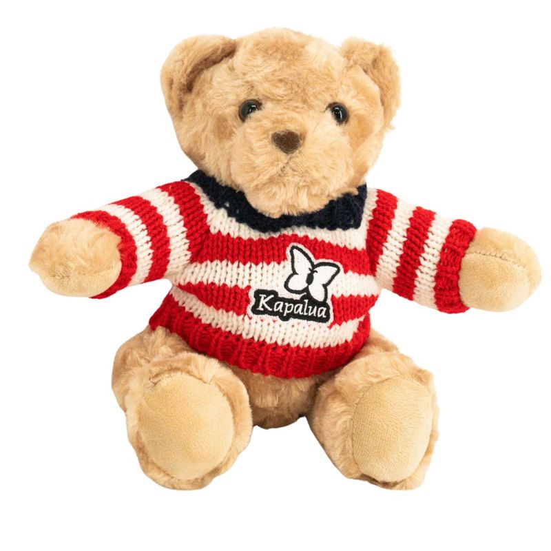 KAPALUA TEDDY BEAR