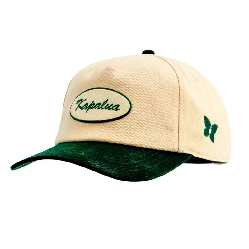 AMERICAN NEEDLE TWILL ROSCOE FELT