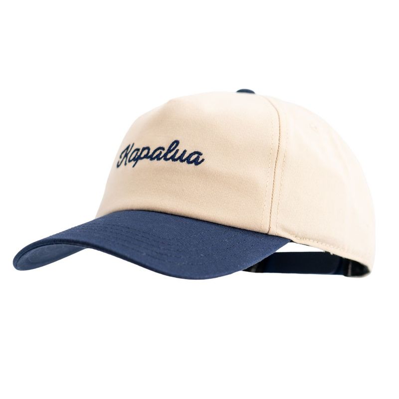 AMERICAN NEEDLE ROSCOE FLAG