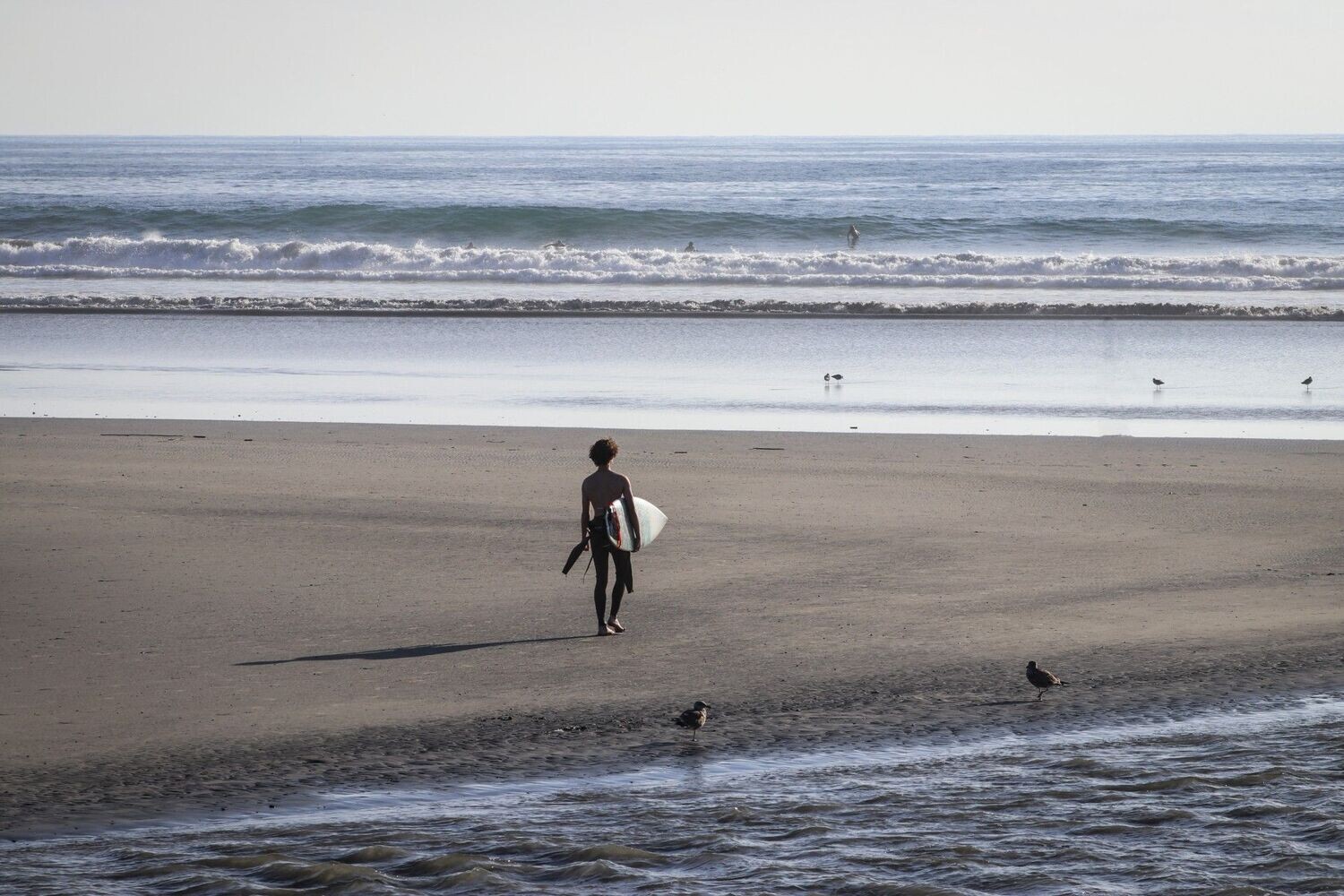 Surfer 1