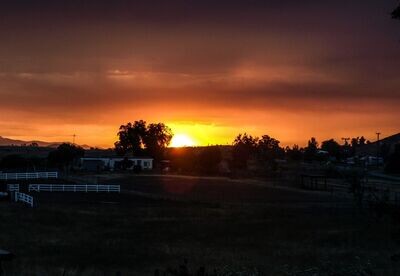 Sunset Pictures