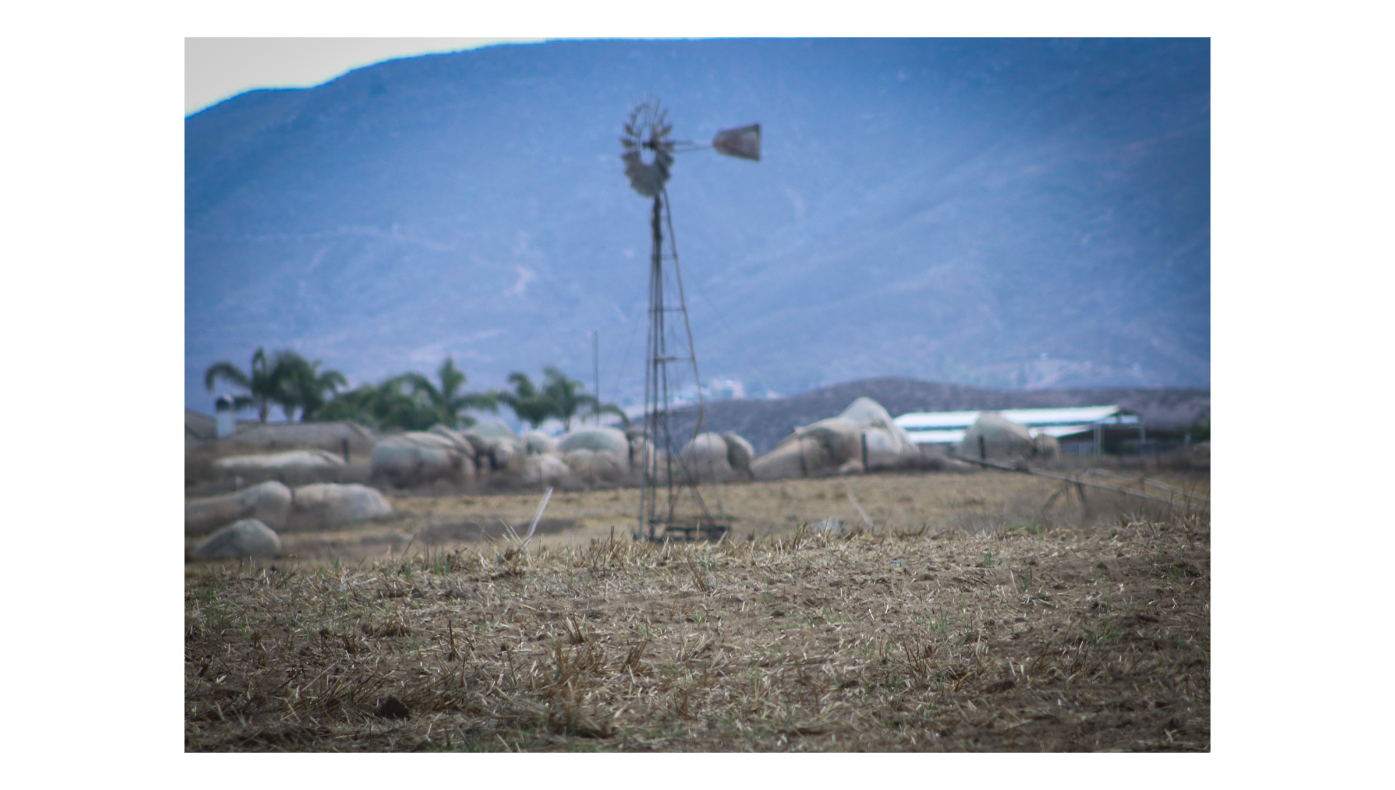 Windmill 2